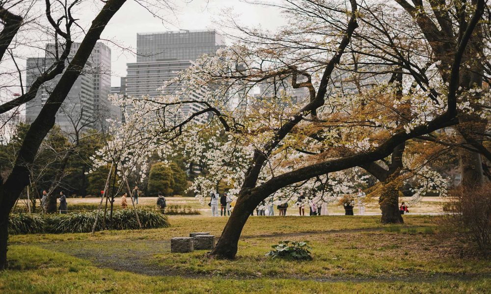 Mindfulness and seasonal changes, Spring Meditation